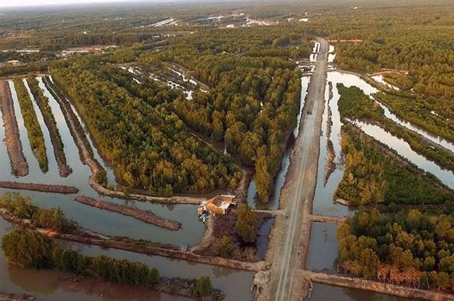 Ca Mau voit un développement fructueux après 25 ans ảnh 3