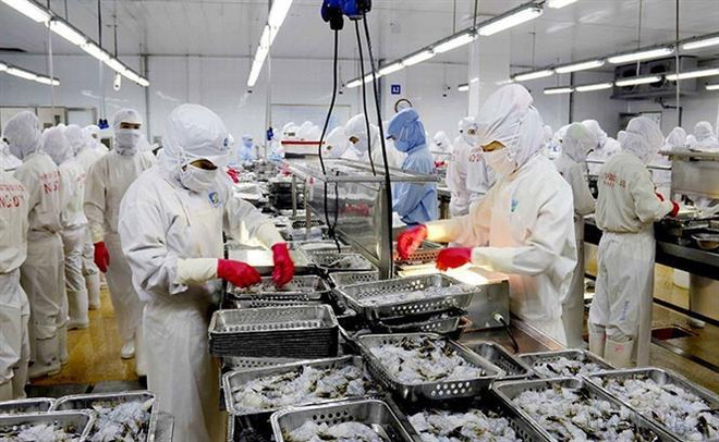 Ca Mau voit un développement fructueux après 25 ans ảnh 4