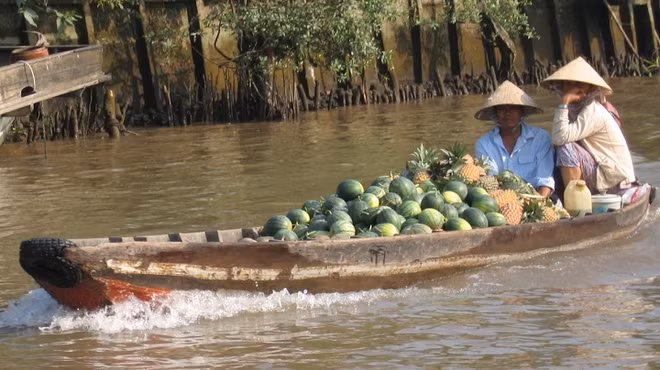 Fête touristique du marché flottant de Cai Rang ảnh 1 Fête touristique du marché flottant de Cai Rang ảnh 1