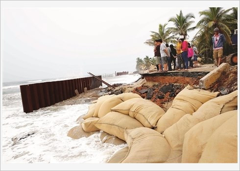 Quang Nam : mesures sollicitées pour une protection côtière durable ảnh 1 Quang Nam : mesures sollicitées pour une protection côtière durable ảnh 1