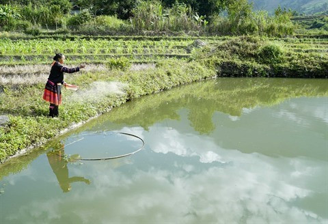 Une solution au problème de la réduction de la pauvreté ảnh 1 Une solution au problème de la réduction de la pauvreté ảnh 1