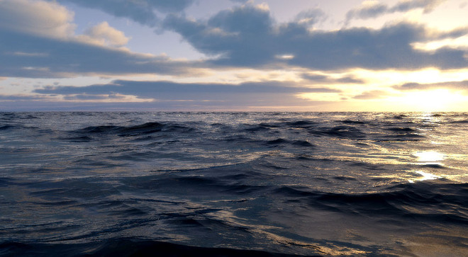 Coordination multilatérale pour la préservation et la valorisation des ressources maritimes ảnh 1 Coordination multilatérale pour la préservation et la valorisation des ressources maritimes ảnh 1