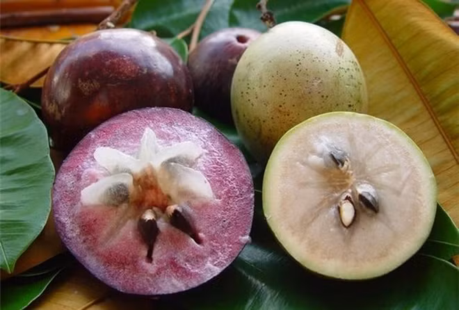 Les Etats-Unis acceptent d’importer la pomme de lait vietnamienne ảnh 1 Les Etats-Unis acceptent d’importer la pomme de lait vietnamienne ảnh 1