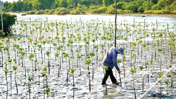 La Finlande accompagne le Vietnam dans la lutte contre les changements climatiques ảnh 1 La Finlande accompagne le Vietnam dans la lutte contre les changements climatiques ảnh 1
