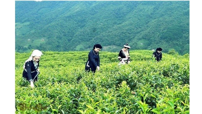 Le groupe sud-coréen Agerigna cherche à collaborer avec Cao Bang dans l’agriculture ảnh 1 Le groupe sud-coréen Agerigna cherche à collaborer avec Cao Bang dans l’agriculture ảnh 1