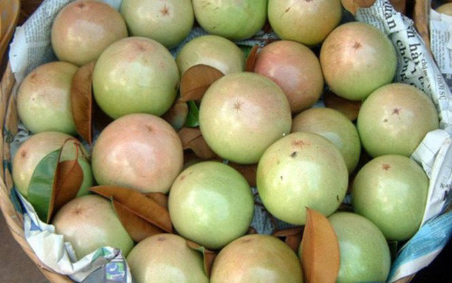 Une décennie d’efforts pour exporter des pommes étoilées vers les États-Unis ảnh 1 Une décennie d’efforts pour exporter des pommes étoilées vers les États-Unis ảnh 1