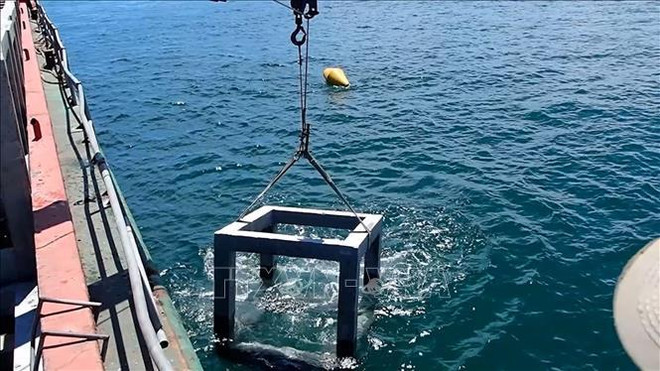 Récifs artificiels : à la reconquête de la biodiversité marine dans la province de Ca Mau ảnh 1 Récifs artificiels : à la reconquête de la biodiversité marine dans la province de Ca Mau ảnh 1