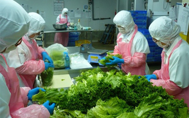 Elever la capacité logistique pour le développement du secteur des fruits et légumes ảnh 1 Elever la capacité logistique pour le développement du secteur des fruits et légumes ảnh 1