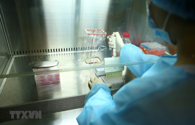 Au deuxième trimestre 2022, le Vietnam fournirait largement le vaccin COVID-19 ảnh 1 Au deuxième trimestre 2022, le Vietnam fournirait largement le vaccin COVID-19 ảnh 1