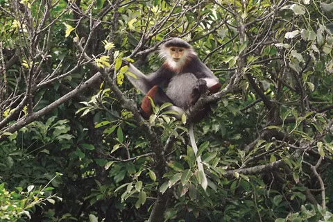 L'enjeu des ressources génétiques ảnh 1