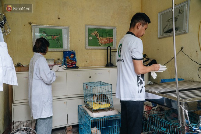 «Nous traitons les animaux comme les membres de notre famille» ảnh 3 «Nous traitons les animaux comme les membres de notre famille» ảnh 3