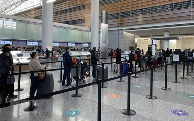 COVID-19 : 300 citoyens vietnamiens en Russie rapatriés ảnh 1 COVID-19 : 300 citoyens vietnamiens en Russie rapatriés ảnh 1