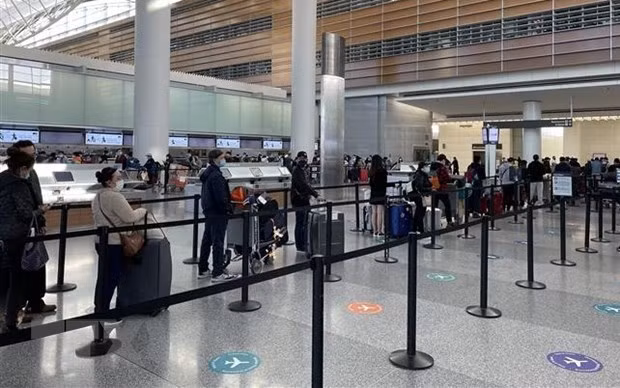 COVID-19 : 300 citoyens vietnamiens en Russie rapatriés ảnh 1 COVID-19 : 300 citoyens vietnamiens en Russie rapatriés ảnh 1