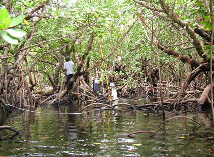 Côn Dao œuvre pour un développement durable du tourisme ảnh 2 Côn Dao œuvre pour un développement durable du tourisme ảnh 2