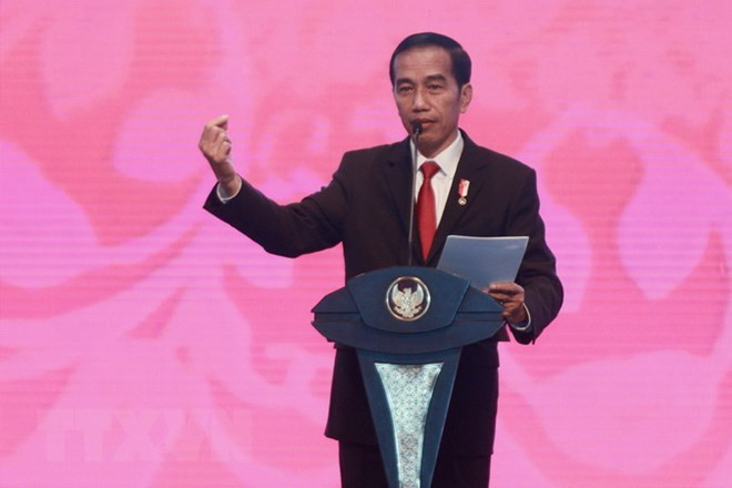 Indonésie : le président Joko Widodo désigné candidat à la présidentielle ảnh 1