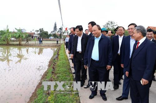 Le chef du gouvernement exhorte à faire de Hai Hâu un district néo-rural modèle ảnh 1 Le chef du gouvernement exhorte à faire de Hai Hâu un district néo-rural modèle ảnh 1