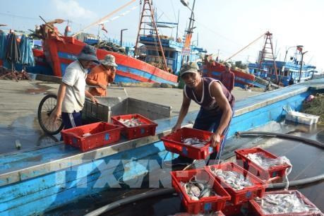 Le Vietnam réalise les recommandations de la CE sur l’exploitation aquicole ảnh 1 Le Vietnam réalise les recommandations de la CE sur l’exploitation aquicole ảnh 1