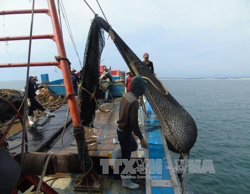 Pêche INN : La VASEP propose une panoplie d’activités avant l’heure H ảnh 1