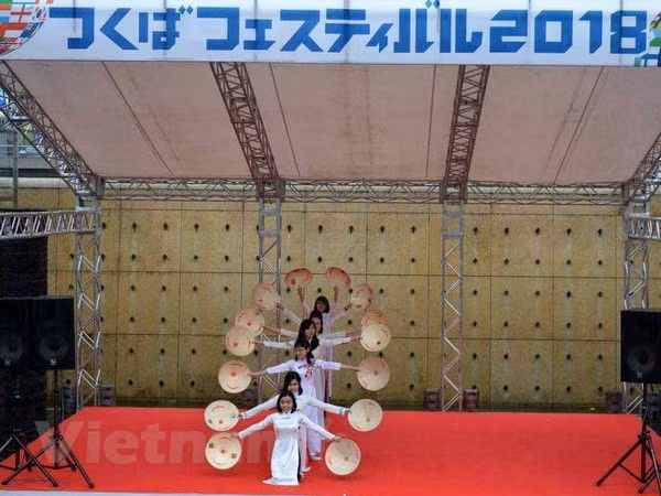 La Fête du Vietnam 2018 commence à Tokyo ảnh 1