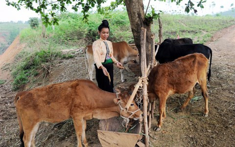 Réduire l'écart de développement entre zones urbaines et rurales ảnh 1