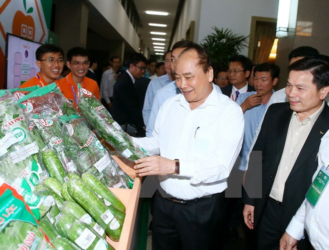 Le Premier ministre veut faire du Vietnam un pays puissant dans l'agriculture ảnh 1 Le Premier ministre veut faire du Vietnam un pays puissant dans l'agriculture ảnh 1