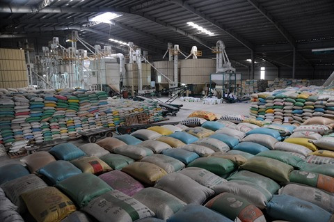 Les exportations ont le vent en poupe ảnh 2 Les exportations ont le vent en poupe ảnh 2