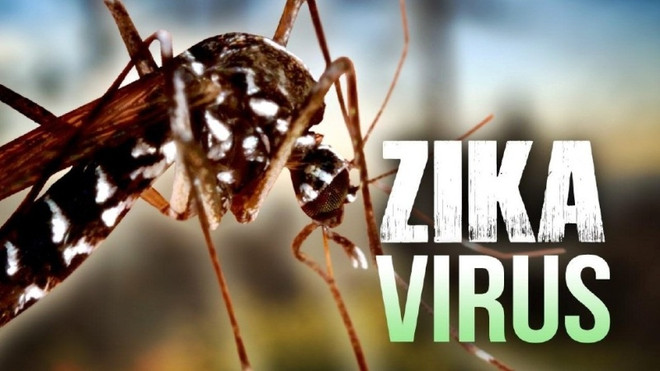 Zika: Ho Chi Minh-Ville déclare une épidémie au niveau de la commune et du quartier ảnh 1 Zika: Ho Chi Minh-Ville déclare une épidémie au niveau de la commune et du quartier ảnh 1