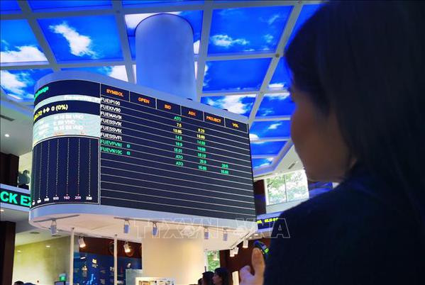 La stabilité macro-économique est le bon fondement pour le développement du marché boursier ảnh 1 La stabilité macro-économique est le bon fondement pour le développement du marché boursier ảnh 1