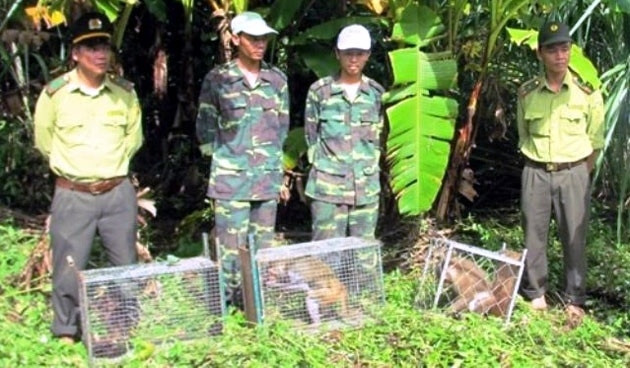 Quang Binh relâche dans la nature 18 animaux sauvages ảnh 1 Quang Binh relâche dans la nature 18 animaux sauvages ảnh 1