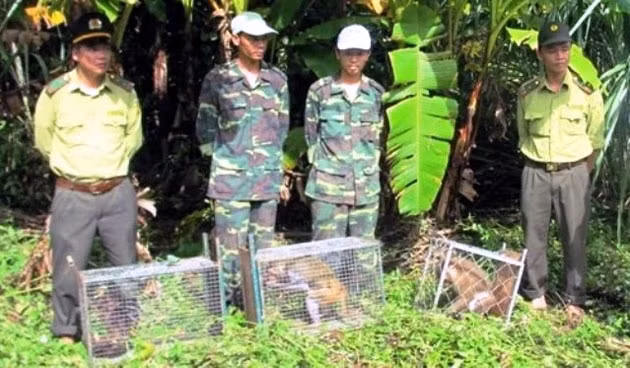 Quang Binh relâche dans la nature 18 animaux sauvages ảnh 1