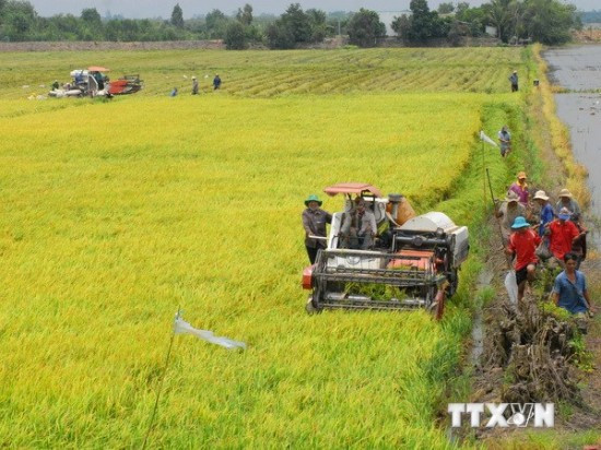 Le Vietnam conjugue les efforts pour s'adapter aux changements climatiques ảnh 1 Le Vietnam conjugue les efforts pour s'adapter aux changements climatiques ảnh 1