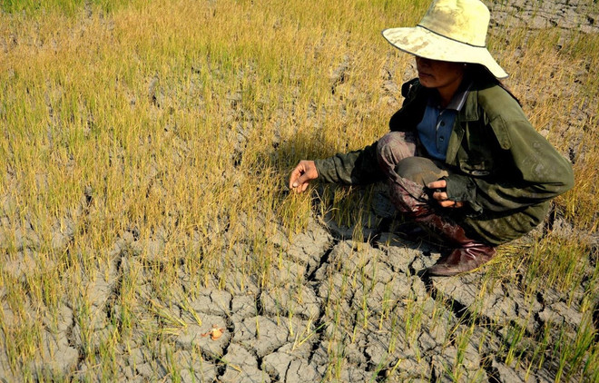 Le Vietnam promeut l'intégration du genre dans la lutte contre le changement climatique ảnh 1