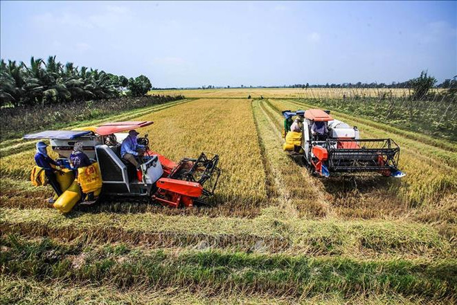 Réduction des émissions de gaz dans la riziculture dans le delta du Mékong ảnh 2 Réduction des émissions de gaz dans la riziculture dans le delta du Mékong ảnh 2