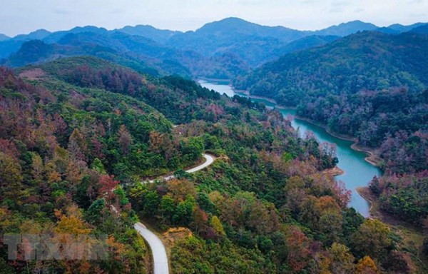 Plantation d’un milliard d'arbres au cours de la période 2021-2025 ảnh 1 Plantation d’un milliard d'arbres au cours de la période 2021-2025 ảnh 1