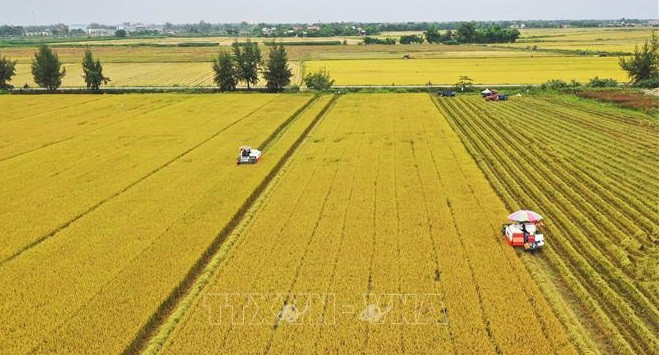 Accélérer la transformation numérique dans l’agriculture ảnh 1 Accélérer la transformation numérique dans l’agriculture ảnh 1