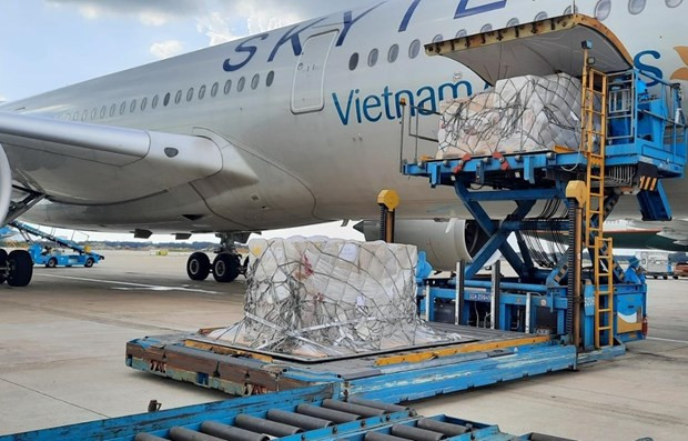 Arrivée au Vietnam de 180.000 kits de test du COVID-19 offerts par l’Allemagne ảnh 1 Arrivée au Vietnam de 180.000 kits de test du COVID-19 offerts par l’Allemagne ảnh 1