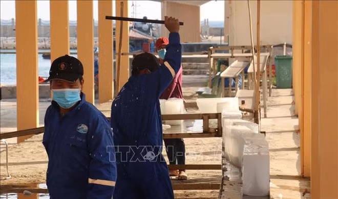 Services de logistiques de pêche à Truong Sa ảnh 2