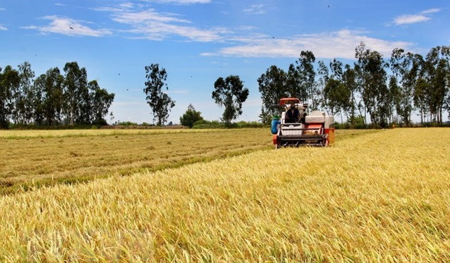 Flexibilité et adaptabilité sont les clés du succès, selon le ministre Le Minh Hoan ảnh 2 Flexibilité et adaptabilité sont les clés du succès, selon le ministre Le Minh Hoan ảnh 2