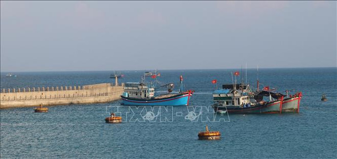 Services de logistiques de pêche à Truong Sa ảnh 3 Services de logistiques de pêche à Truong Sa ảnh 3