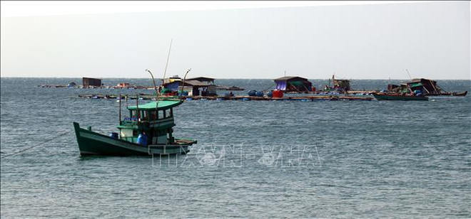 Créer la compétitivité, promouvoir la croissance économique maritime ảnh 1