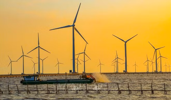 Pour promouvoir le développement de l'éolien offshore ảnh 1