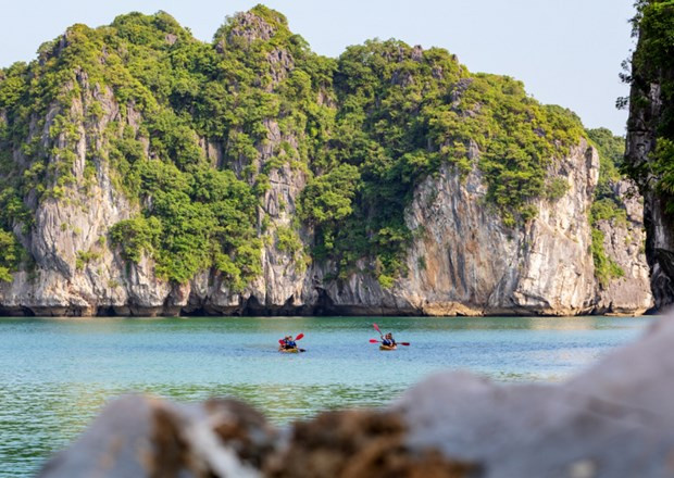 Comment le tourisme favorise-t-il la transformation numérique dans le nouveau contexte ? ảnh 2