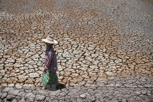 Allocution du président Nguyen Xuan Phuc au débat général de la 76e session de l'AG de l'ONU ảnh 3 Allocution du président Nguyen Xuan Phuc au débat général de la 76e session de l'AG de l'ONU ảnh 3