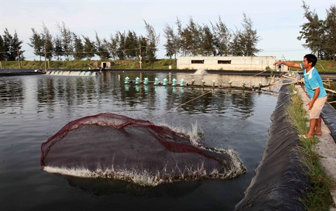 Thanh Hoa : des conditions optimales pour les entreprises ảnh 1