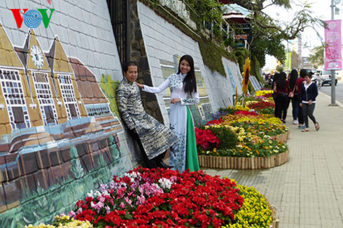Le 7e Festival des fleurs de Da Lat en décembre prochain ảnh 1 Le 7e Festival des fleurs de Da Lat en décembre prochain ảnh 1
