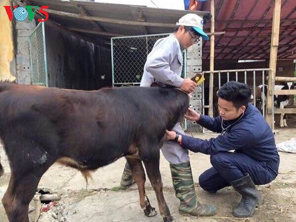 Nguyen Van Minh, un prof passionné ảnh 1