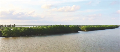 Thai Binh: l’îlot Côn Vành, un petit bout de nature sauvage ảnh 1 Thai Binh: l’îlot Côn Vành, un petit bout de nature sauvage ảnh 1