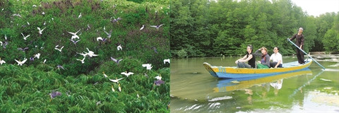Un écrin vert pour les amoureux de la nature ảnh 1 Un écrin vert pour les amoureux de la nature ảnh 1
