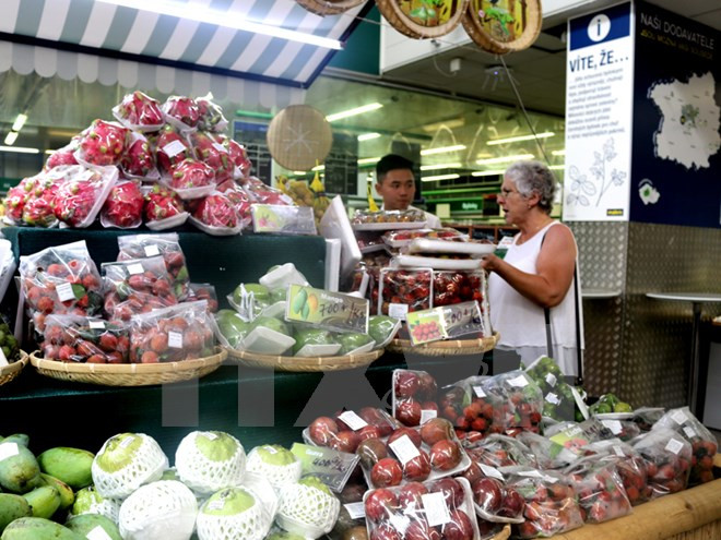Les fruits vietnamiens présentés en République tchèque ảnh 1 Les fruits vietnamiens présentés en République tchèque ảnh 1