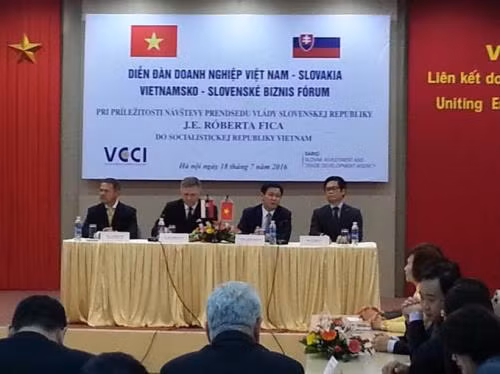 Vietnam et Slovaquie intensifient leur coopération économique ảnh 1 Vietnam et Slovaquie intensifient leur coopération économique ảnh 1